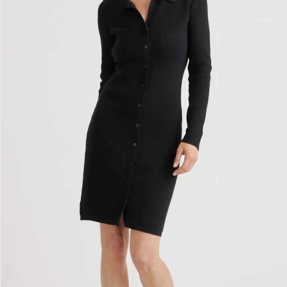Quince button up sweater dress